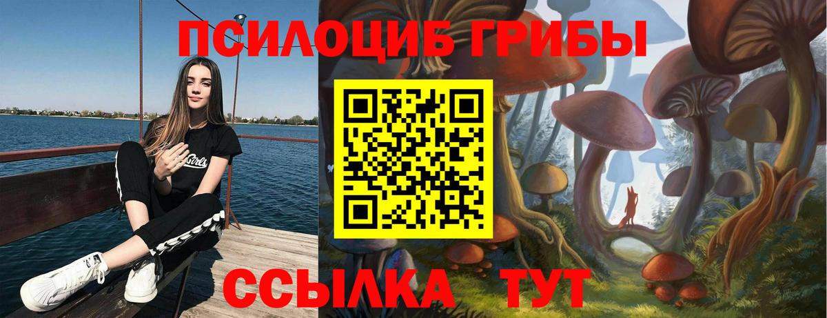 Фролово  Псилоцибиновые грибы Psilocybine cubensis  купить наркотик  Галлюциногенные грибы мухоморы  Вход с VPN 